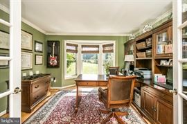 NOTE: only the rug in this picture is for sale.  Nothing else in the room.