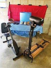 NordicTrack, Recumbent Bike & More         http://www.ctonlineauctions.com/detail.asp?id=764516