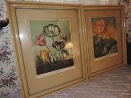 Vintage Floral Prints 