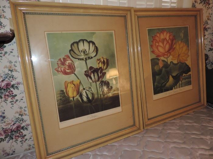 Vintage Floral Prints 