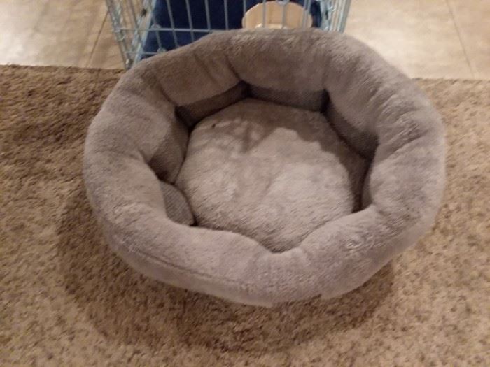 Kitty cat bed