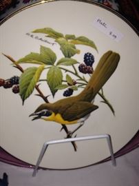 Bird plates