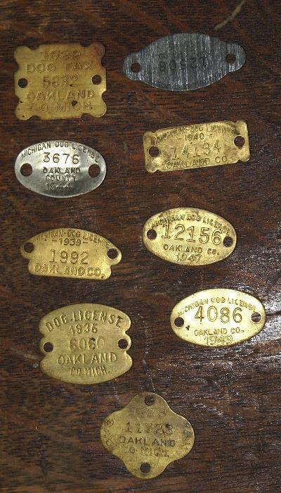Collection of Old Dog Tags 1920's thru 1940's