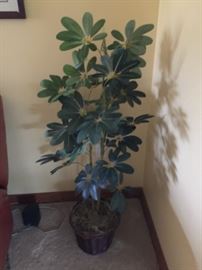 Large, artificial plants.