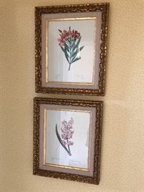 botanical prints 