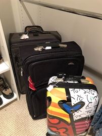 Additional luggage - rolling suitcases