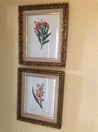 framed prints 