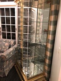 Brass and Glass Curio Cabinet with Doors on Front - lit - excellent price :)