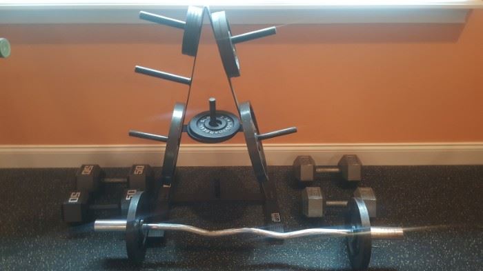 Weights that go with the weight bench $325