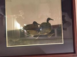 UNADJUSTEDNONRAW thumb 2f2c