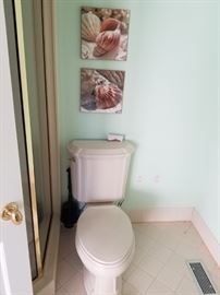 Kohler toilet