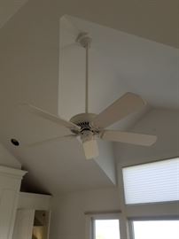 Ceiling fans
