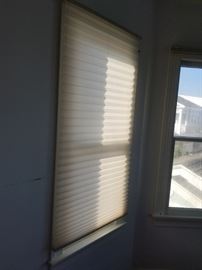 Honeycomb blinds throughout