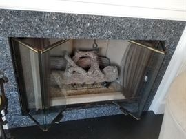 Fireplace & insert
