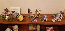 A collection of butterflies