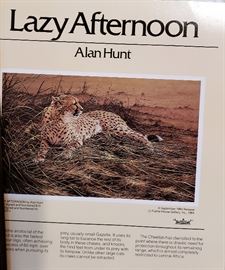 Lazy Afternoon by Alan Hunt
