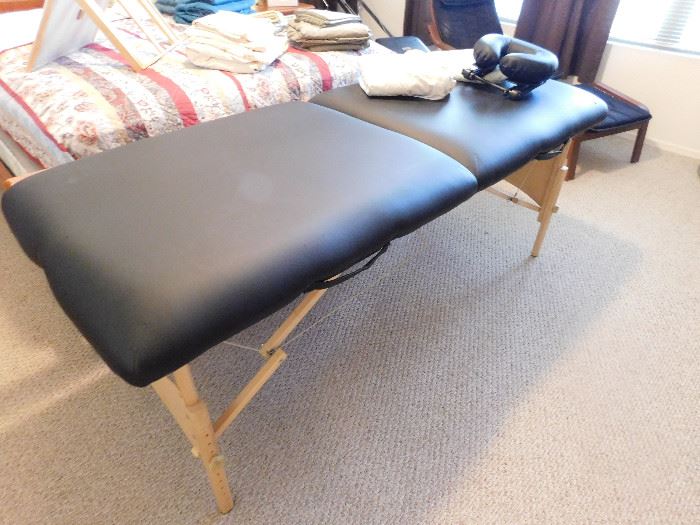 Professional Massage table