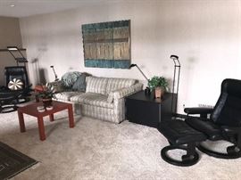 Lower level Living room view