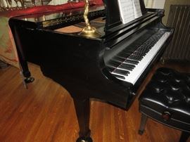 STEINWAY MODEL L EBONY SATIN
PLAYBACK & RECORD PIANO DISC SYSTEM