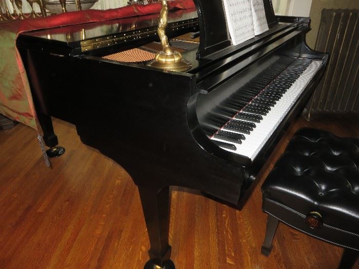 STEINWAY MODEL L EBONY SATIN
PLAYBACK & RECORD PIANO DISC SYSTEM
