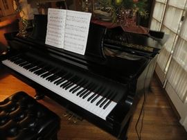 STEINWAY MODEL L EBONY SATIN
PLAYBACK & RECORD PIANO DISC SYSTEM