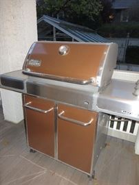 WEBER GRILL

