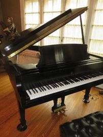 STEINWAY MODEL L EBONY SATIN
PLAYBACK & RECORD PIANO DISC SYSTEM