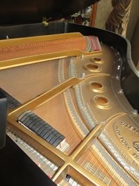 STEINWAY MODEL L EBONY SATIN
PLAYBACK & RECORD PIANO DISC SYSTEM