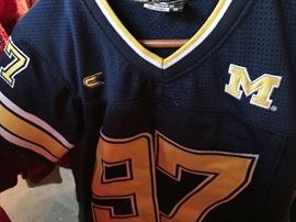 Lots of  Michigan State things