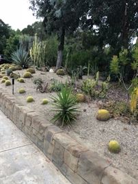 Cactus - and succulents that must be dug out - mostly $50 - as long as the overall landscaping is intact we can remove a few