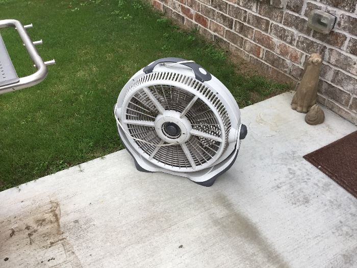 Fan