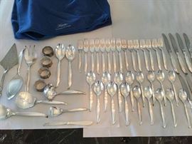 Flair 53 Piece Silver Dining Set