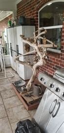 large parrot tree/stand