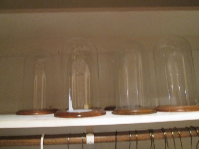 Glass/Wood Dome Display Cases