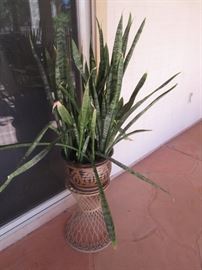 Potted Greenery and Plant Stands