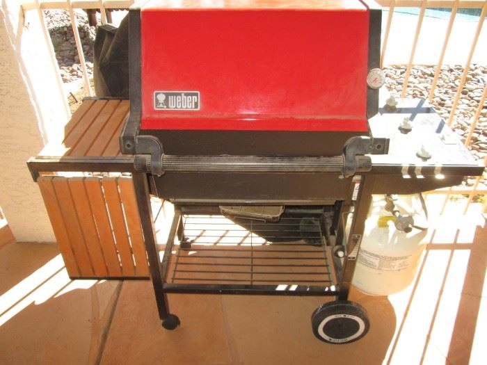 Weber Grill