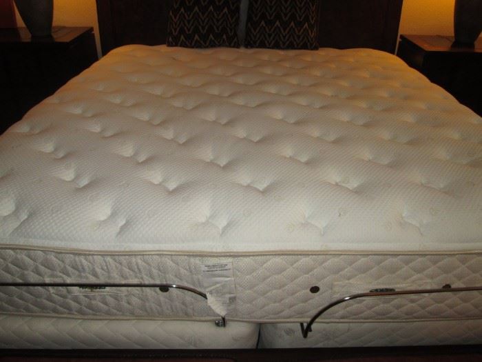 King Size Electric Bed, Wall Hugger Action from Sleep America!  Was $6500 new