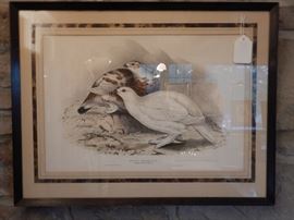 HULL MANDEL & WALTON HAND COLORED LITHOGRAPHS