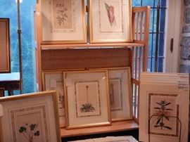 LATE 18TH c HAND COLORED BOTANICAL PRINTS BY W CURTIS