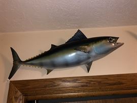 Plaster casts of fish.....