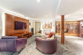 Leather arm chair and TV