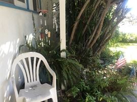 Potted plants