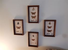 Butterfly Prints - Set of 4