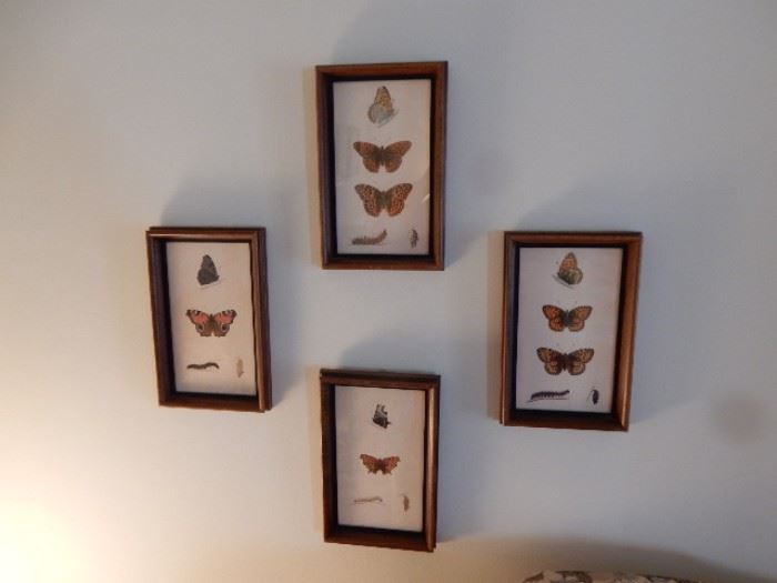 Butterfly Prints - Set of 4