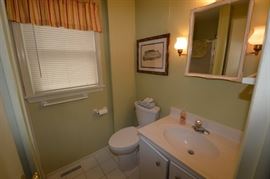 Nice toilet & vanity