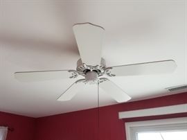 Hunter ceiling fan