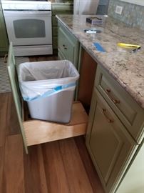 Trash can pull-out