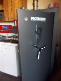 Protector gun safe