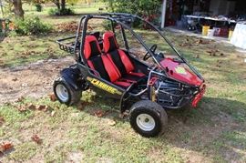 2010 brand new battery, just serviced, oil change and tuned up. only has 36 hours on it, like brand new!! Goes 40 MPH.