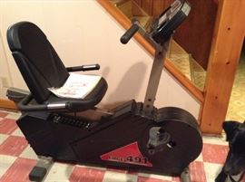 EDGE 491 Recumbent Bike